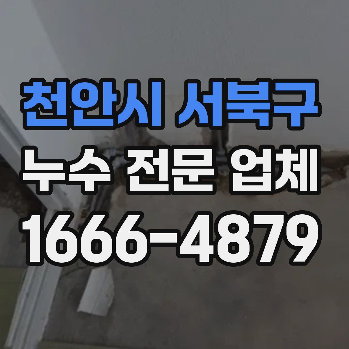 천안시 서북구 누수 전문 업체