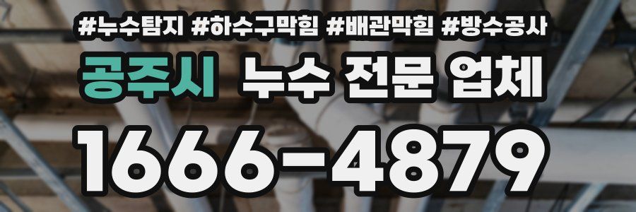 공주시 누수 전문 업체
