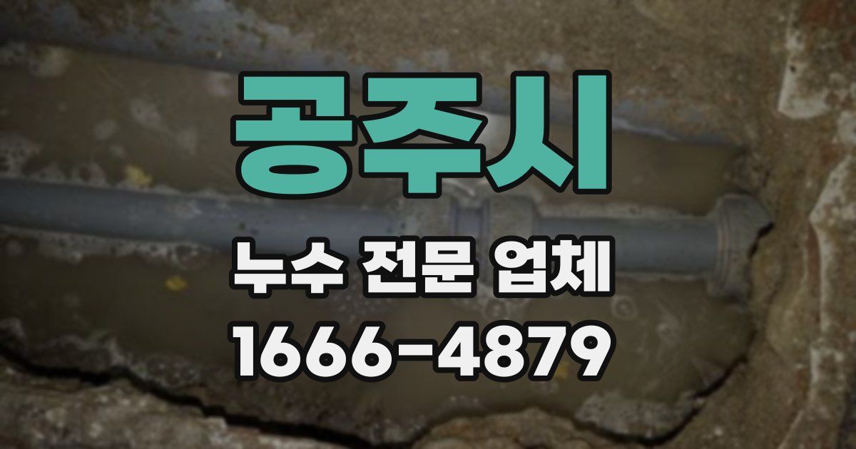 공주시 누수 전문 업체