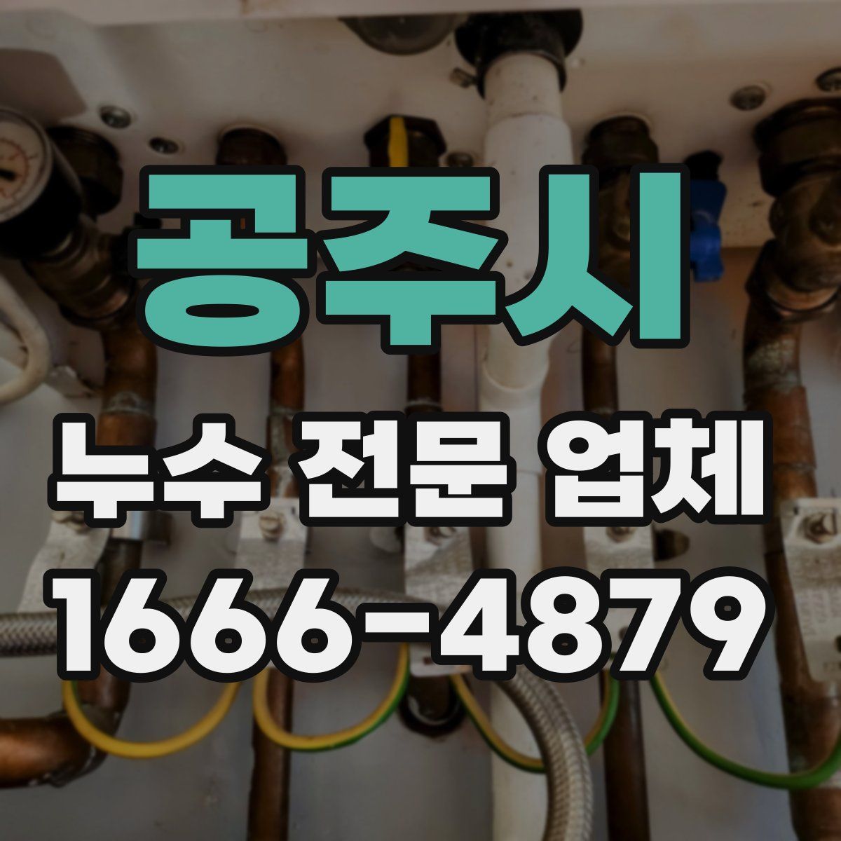 공주시 누수 전문 업체