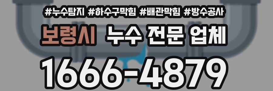 보령시 누수 전문 업체