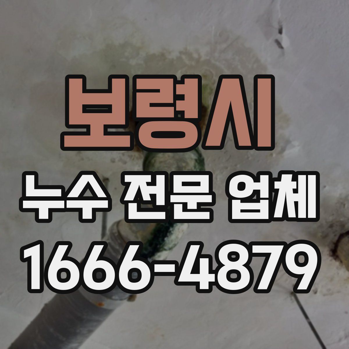 보령시 누수 전문 업체