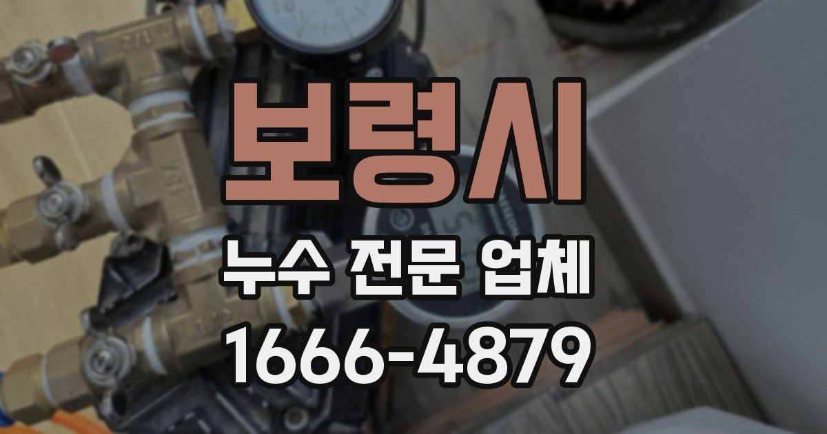 보령시 누수 전문 업체