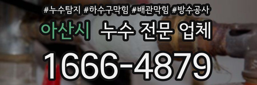 아산시 누수 전문 업체