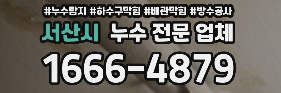 서산시 누수 전문 업체