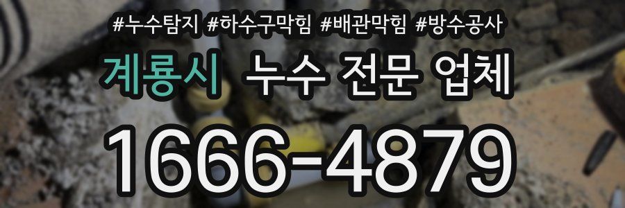 계룡시 누수 전문 업체