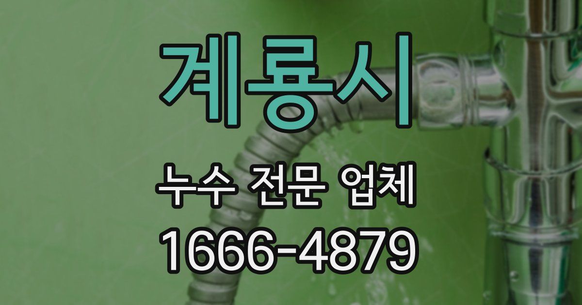 계룡시 누수 전문 업체
