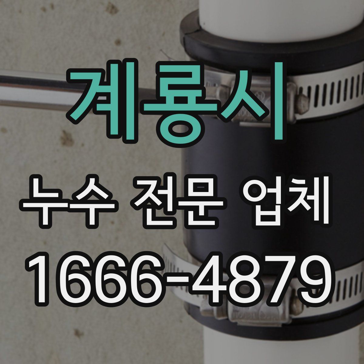 계룡시 누수 전문 업체