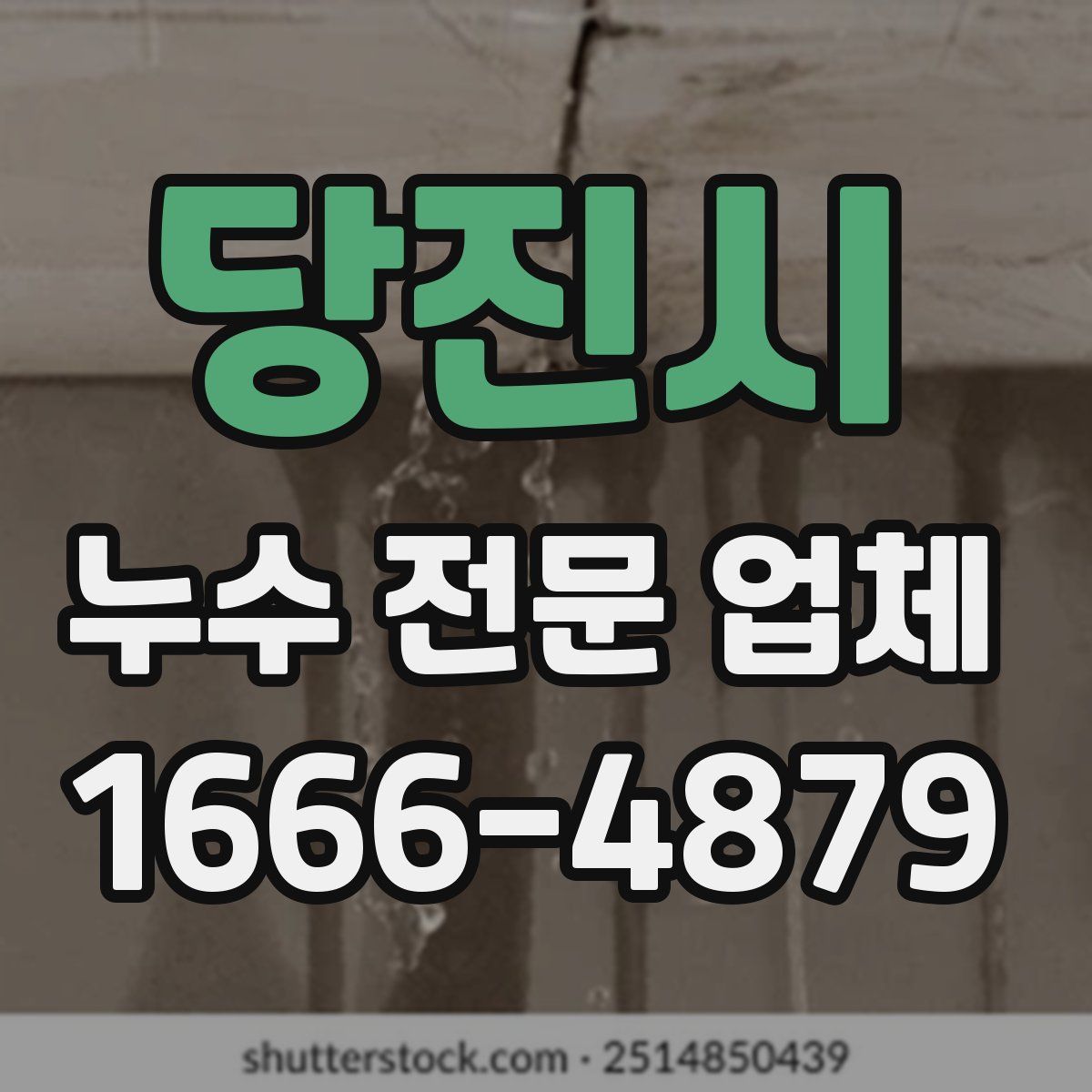 당진시 누수 전문 업체