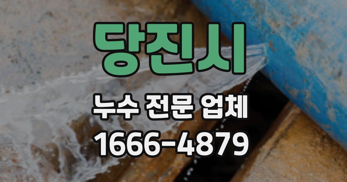 당진시 누수 전문 업체
