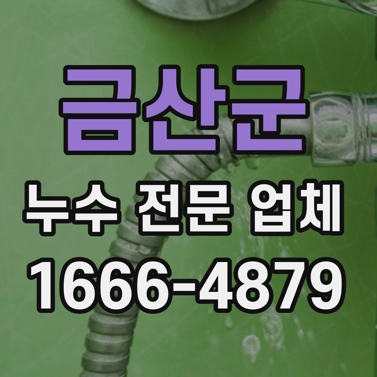 금산군 누수 전문 업체