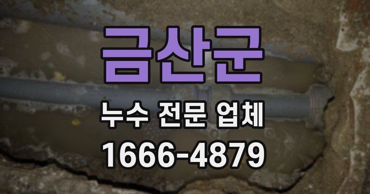 금산군 누수 전문 업체