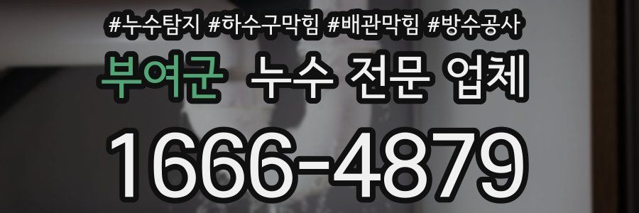 부여군 누수 전문 업체