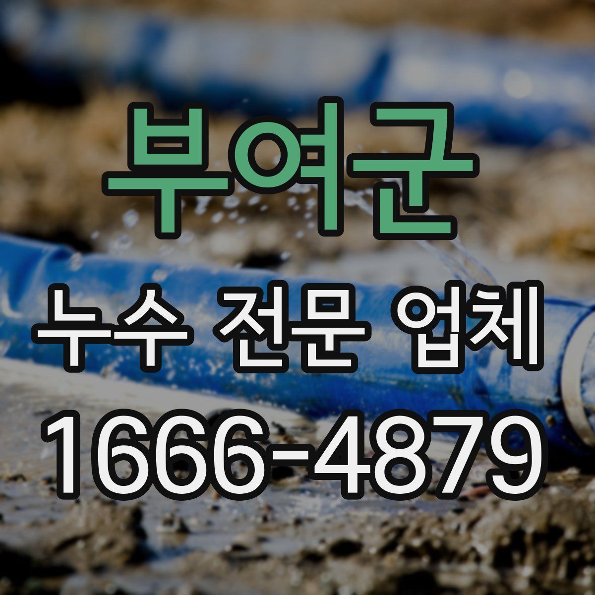 부여군 누수 전문 업체