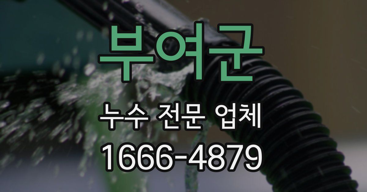 부여군 누수 전문 업체