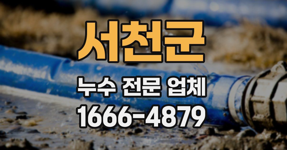 서천군 누수 전문 업체