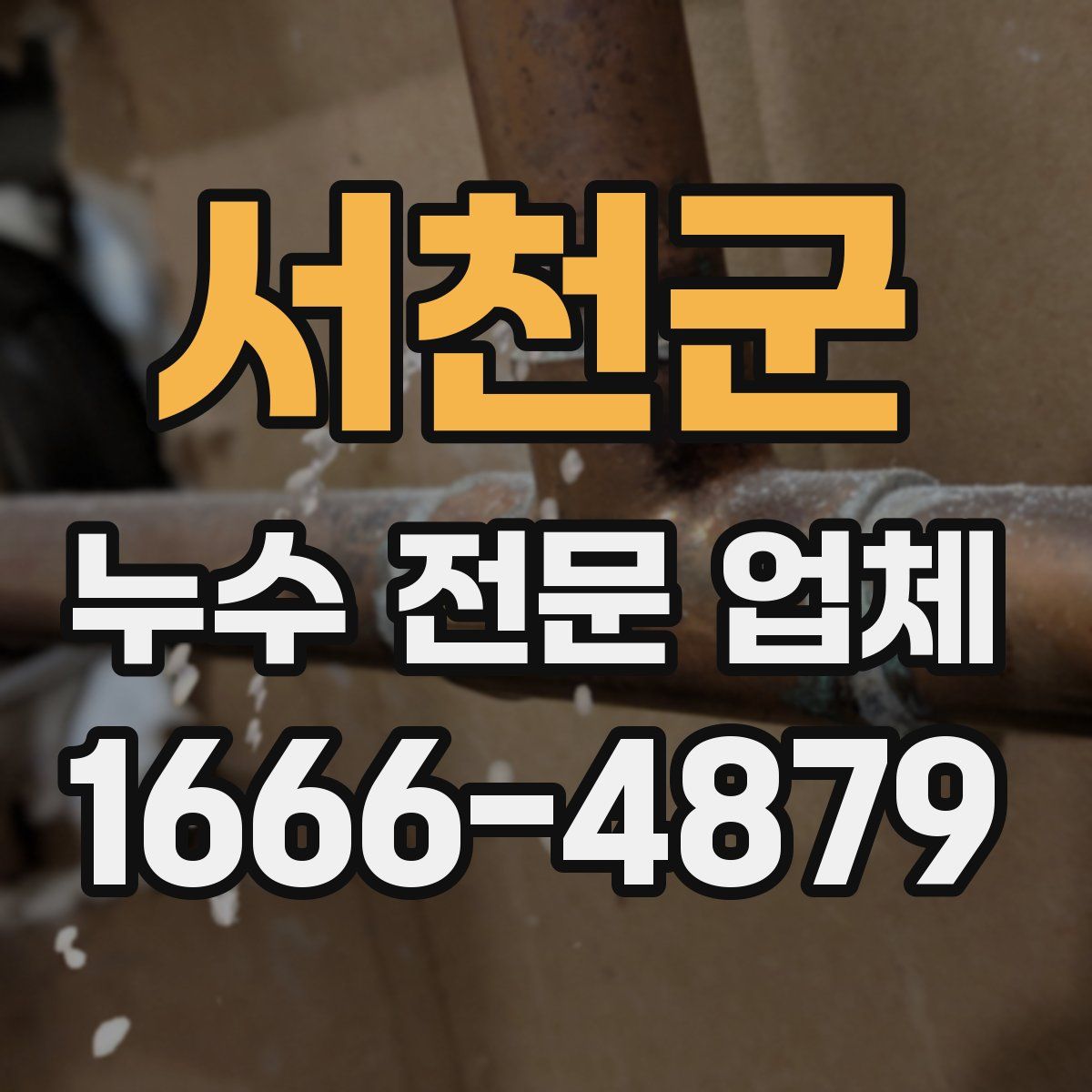서천군 누수 전문 업체