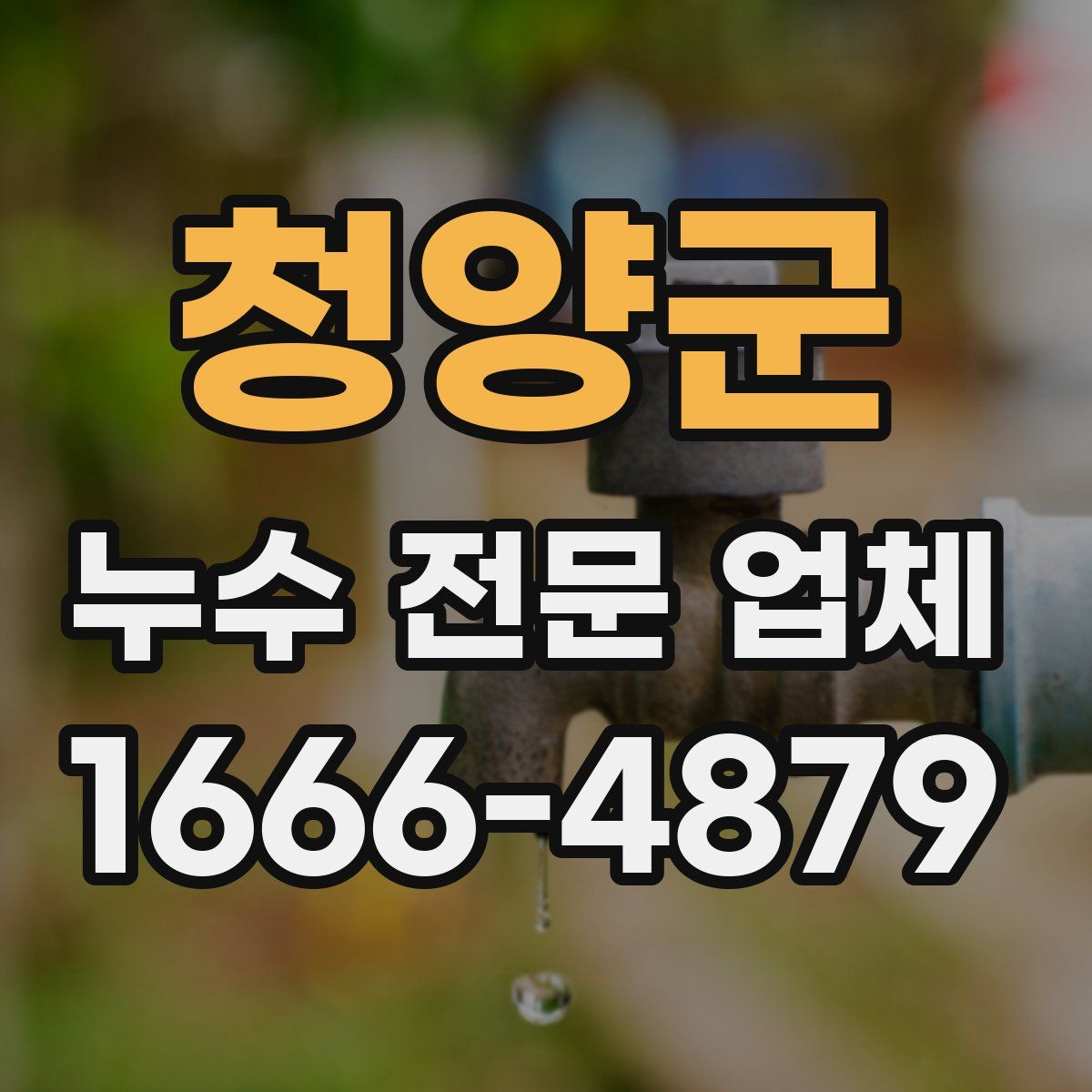 청양군 누수 전문 업체