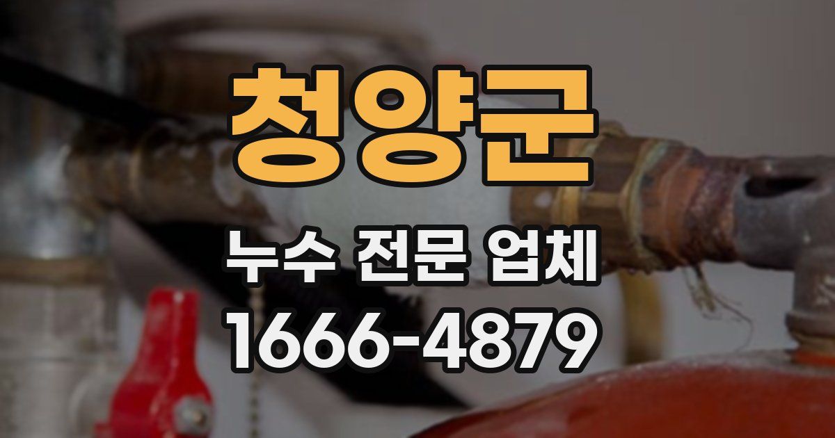 청양군 누수 전문 업체