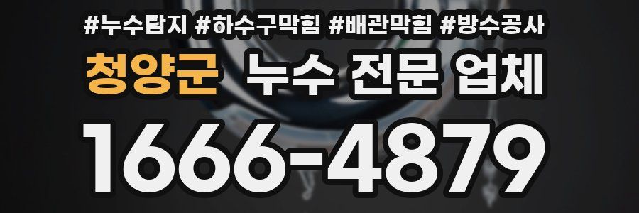 청양군 누수 전문 업체