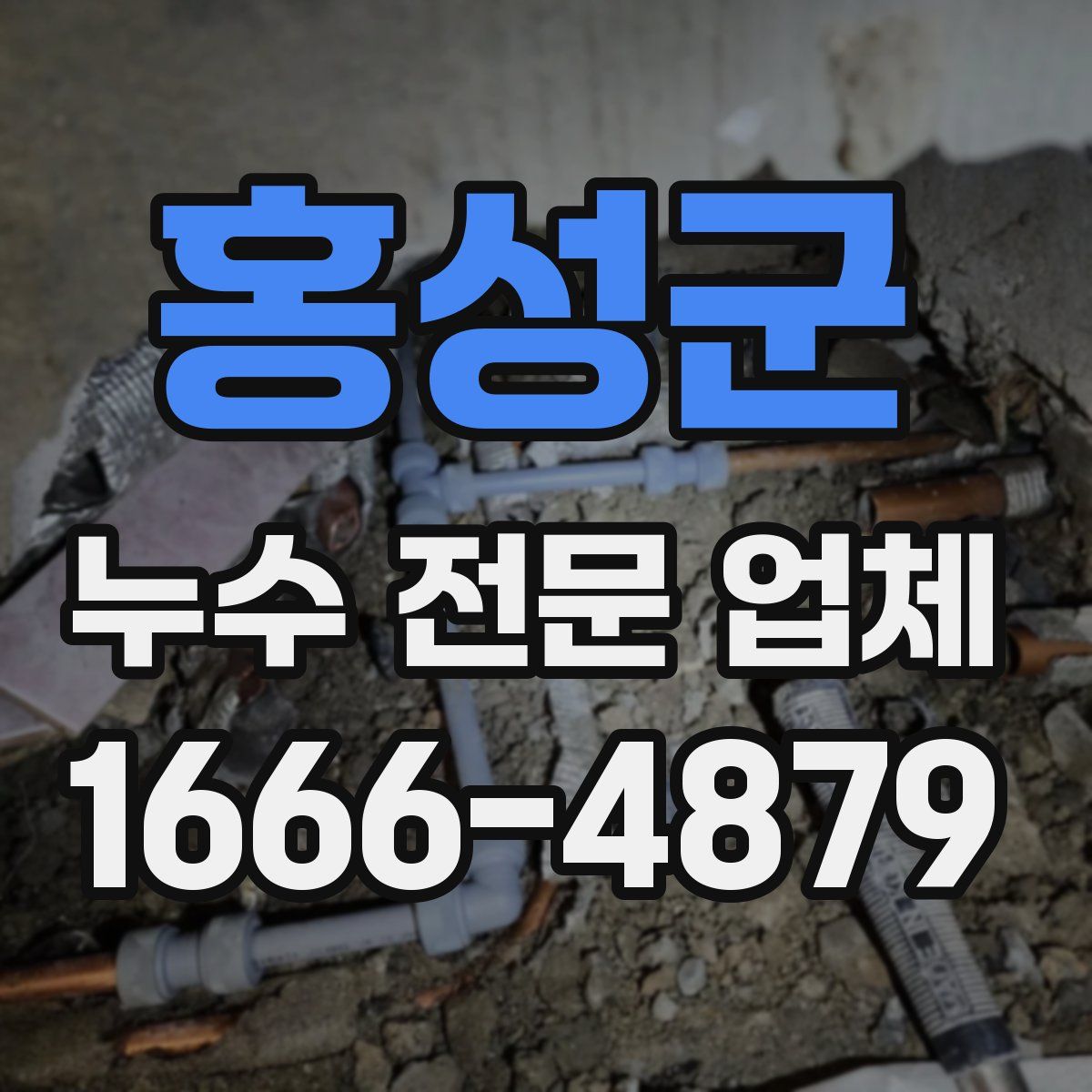홍성군 누수 전문 업체