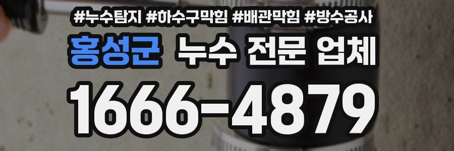 홍성군 누수 전문 업체