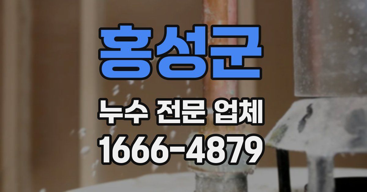홍성군 누수 전문 업체