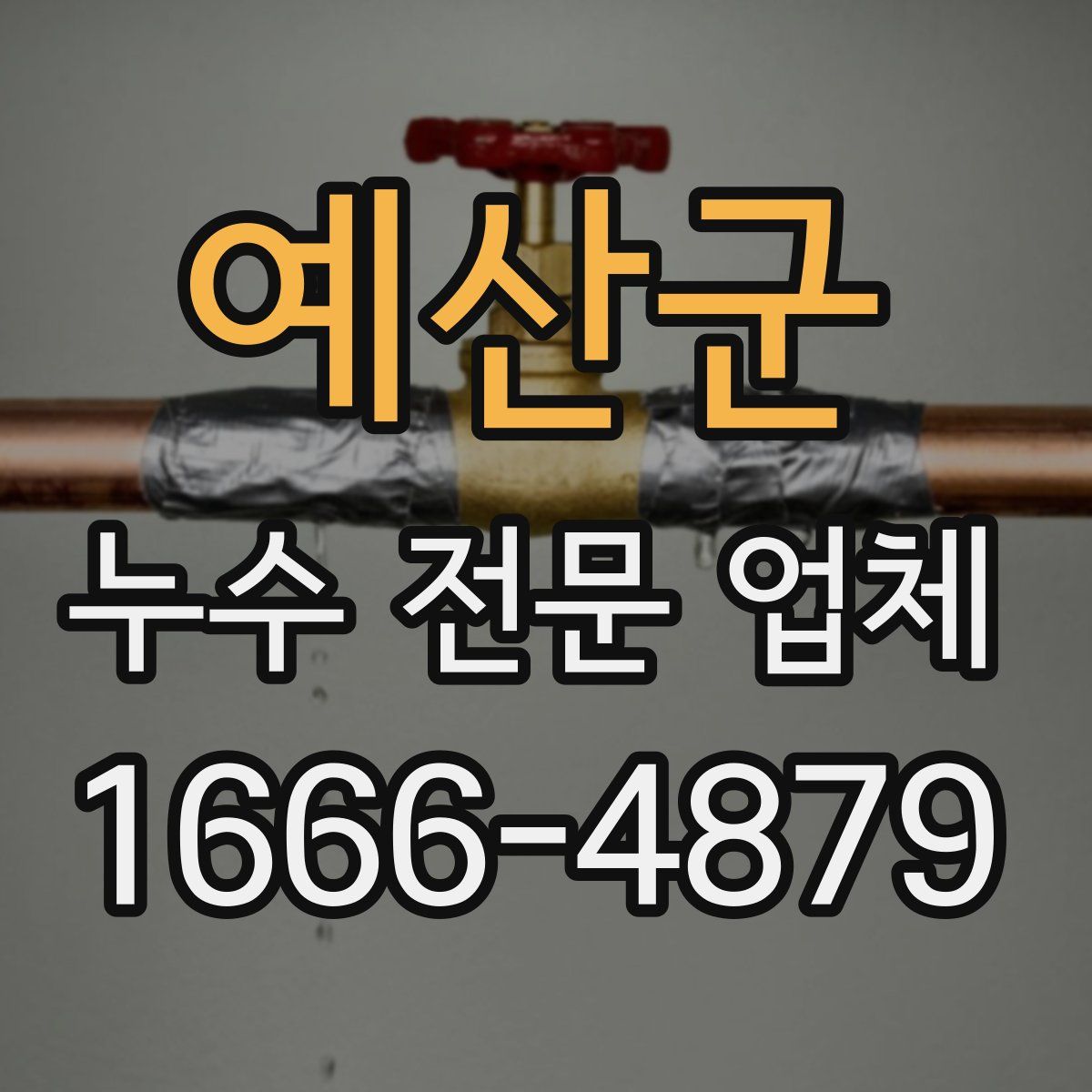 예산군 누수 전문 업체