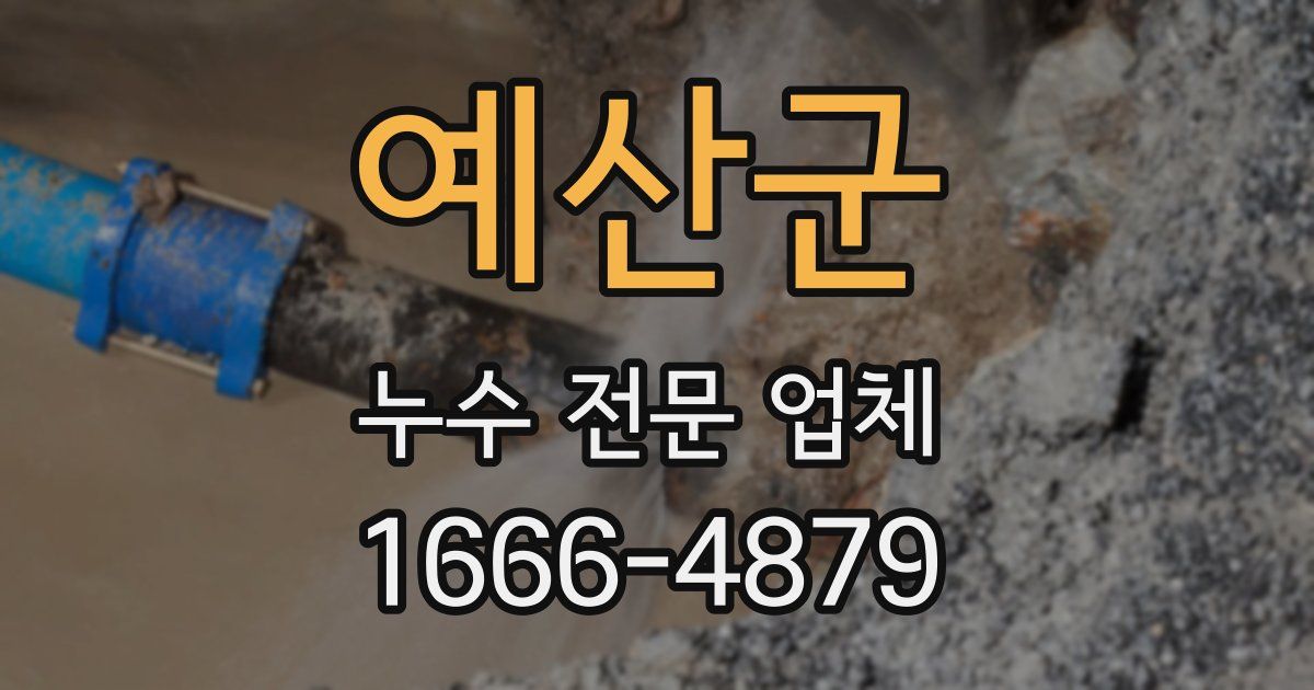 예산군 누수 전문 업체