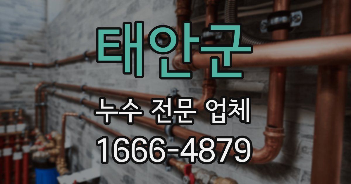 태안군 누수 전문 업체