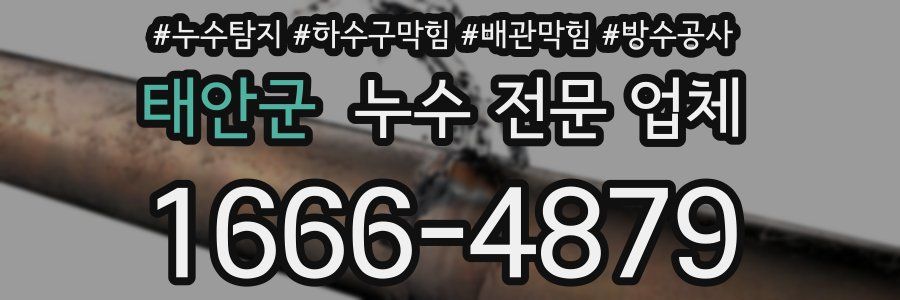 태안군 누수 전문 업체