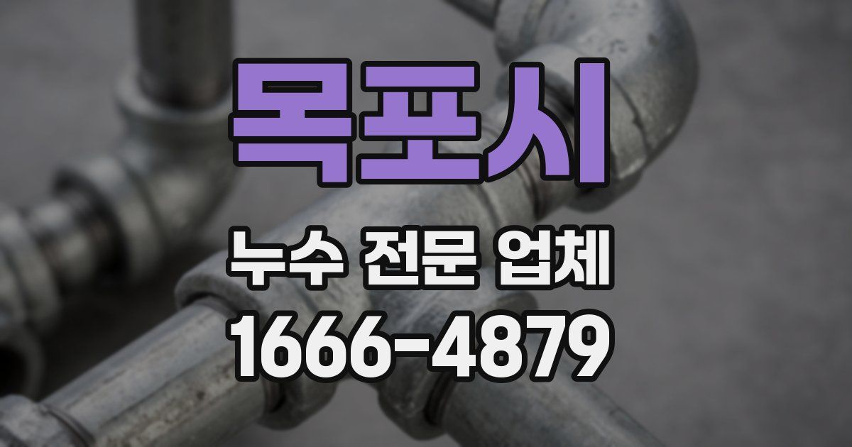 목포시 누수 전문 업체