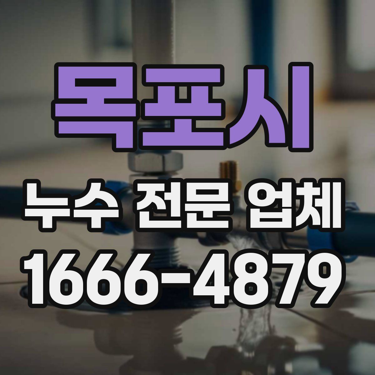 목포시 누수 전문 업체