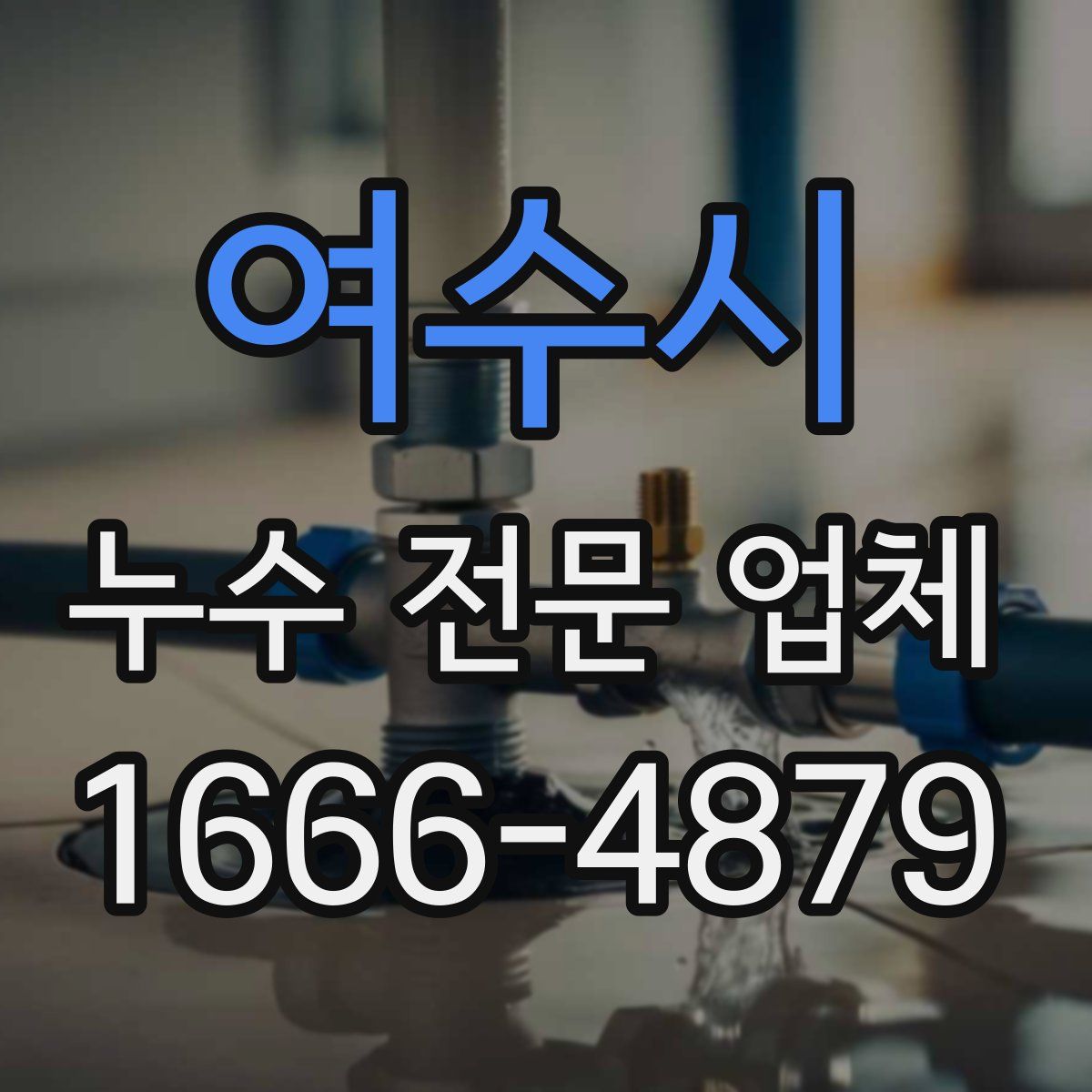 여수시 누수 전문 업체