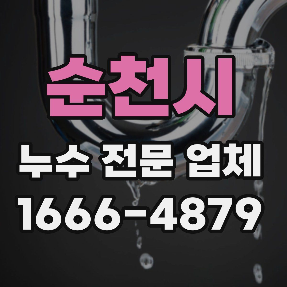 순천시 누수 전문 업체