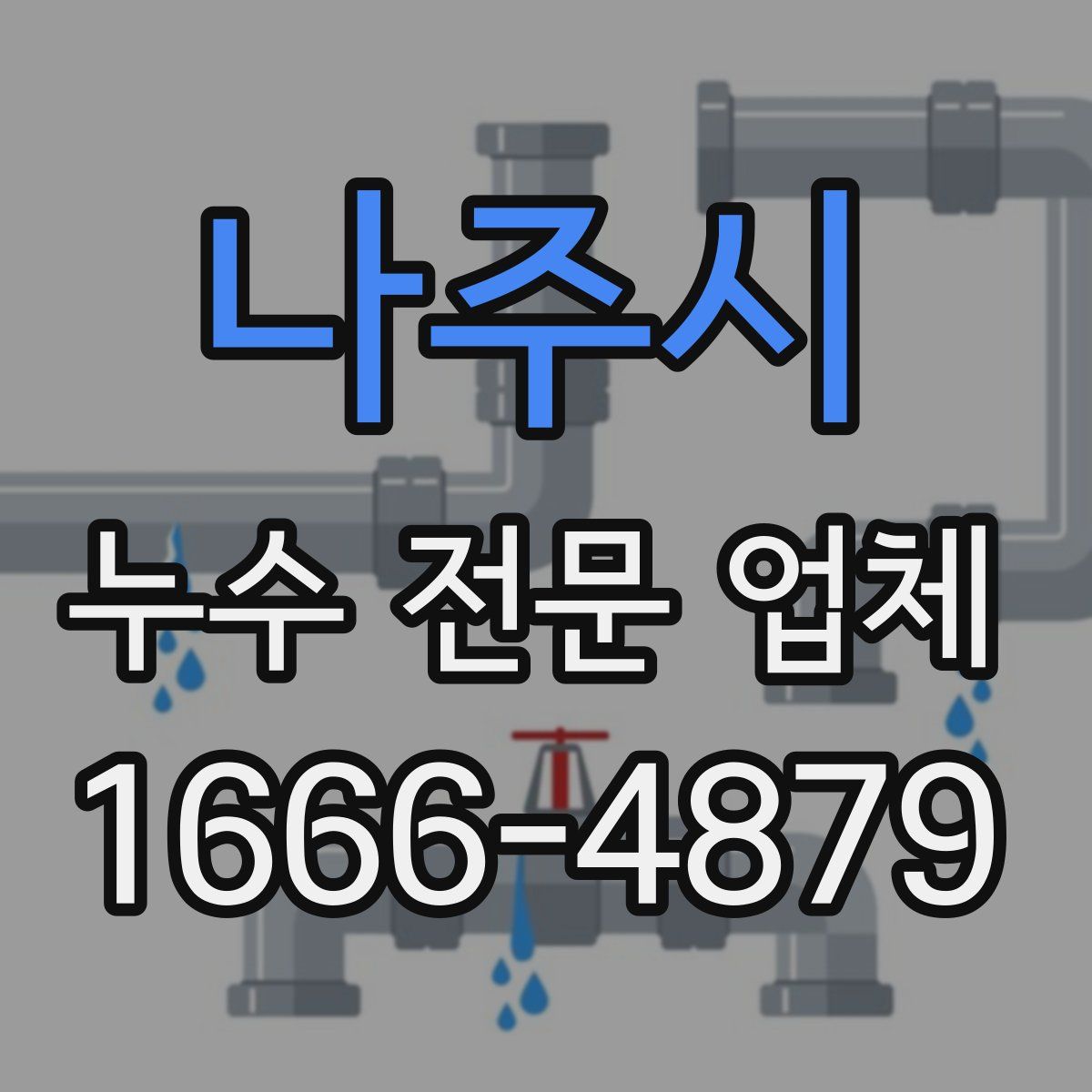 나주시 누수 전문 업체