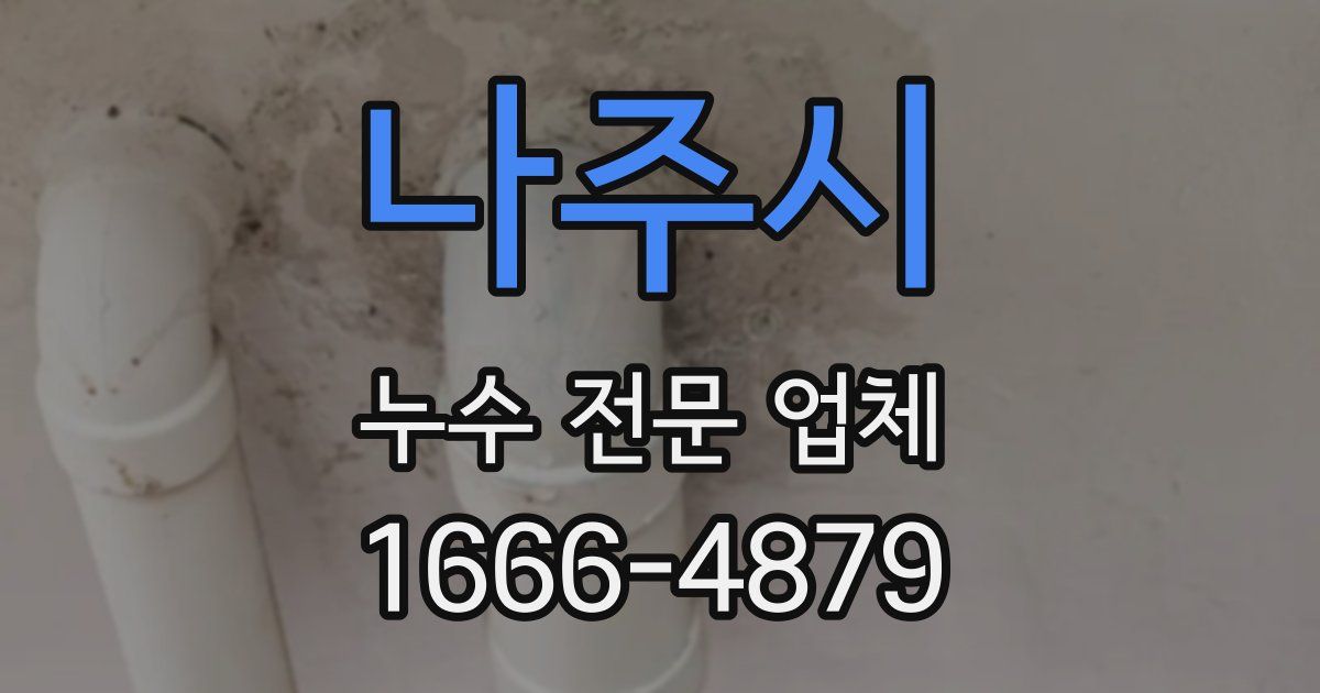 나주시 누수 전문 업체