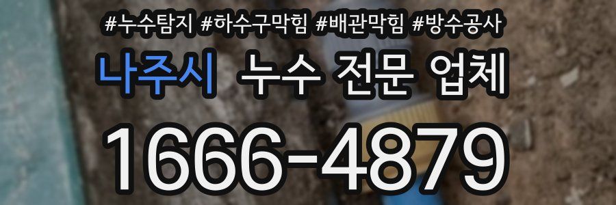 나주시 누수 전문 업체