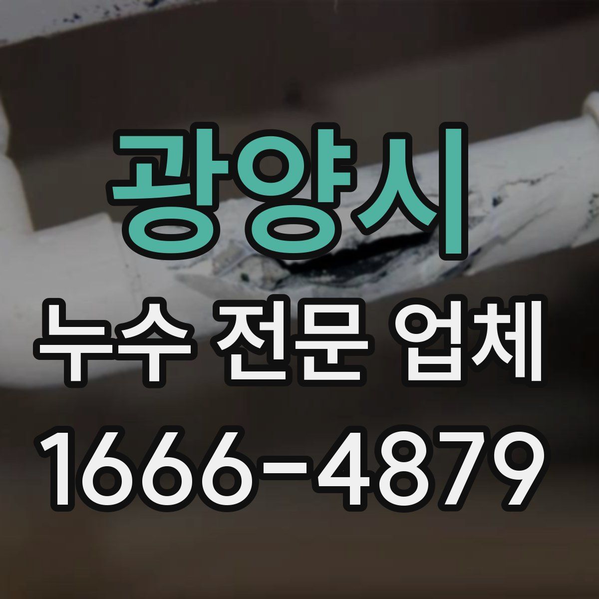 광양시 누수 전문 업체