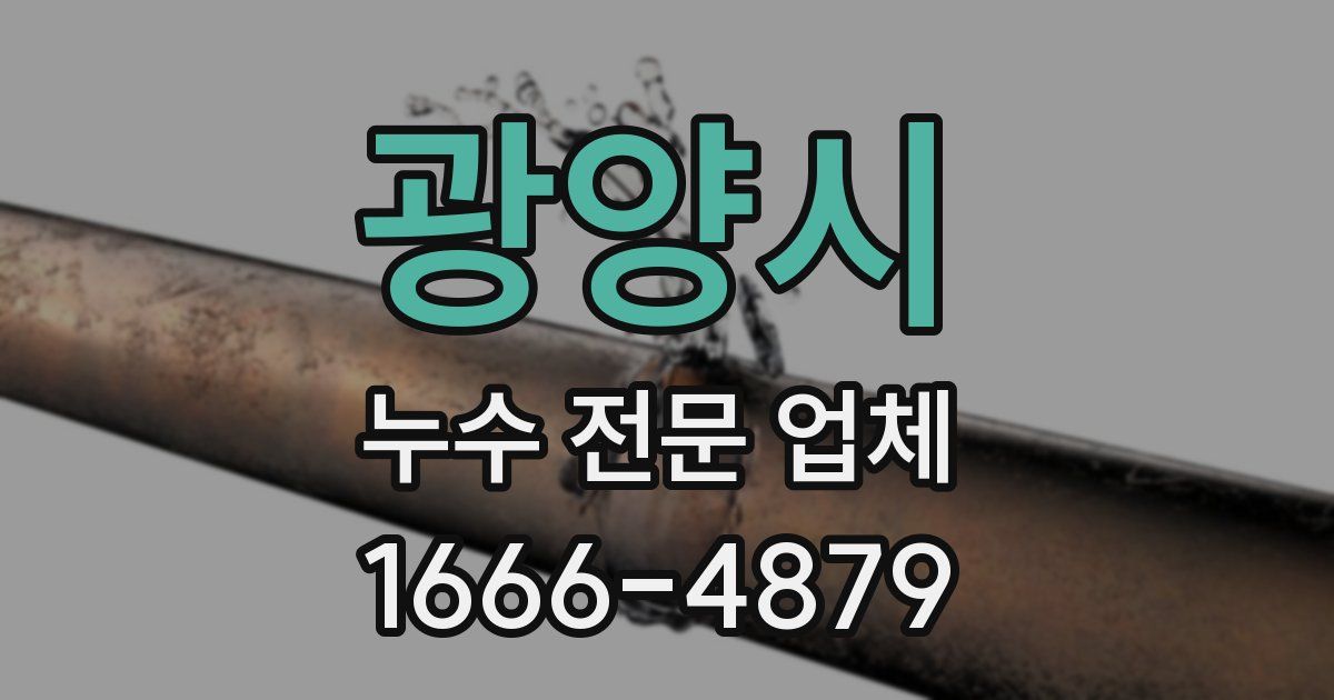 광양시 누수 전문 업체