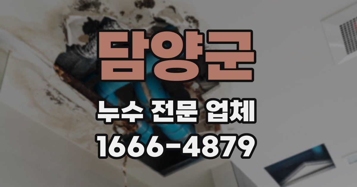 담양군 누수 전문 업체