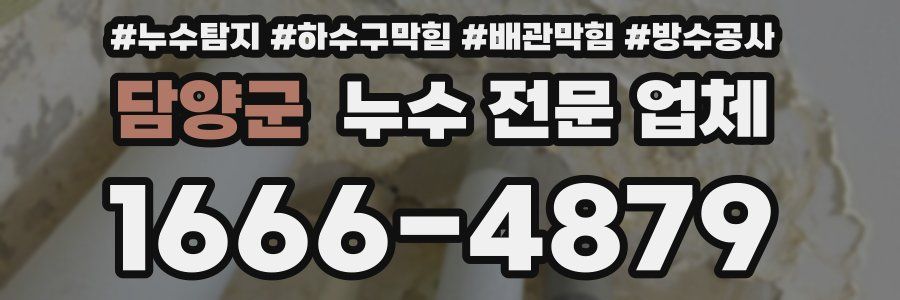 담양군 누수 전문 업체