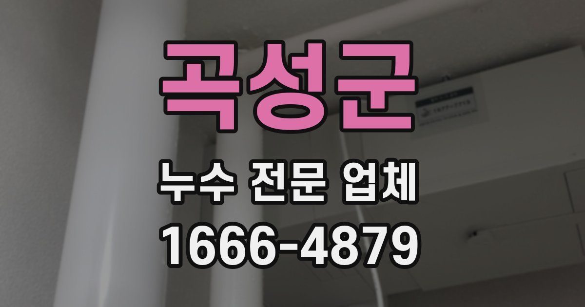 곡성군 누수 전문 업체
