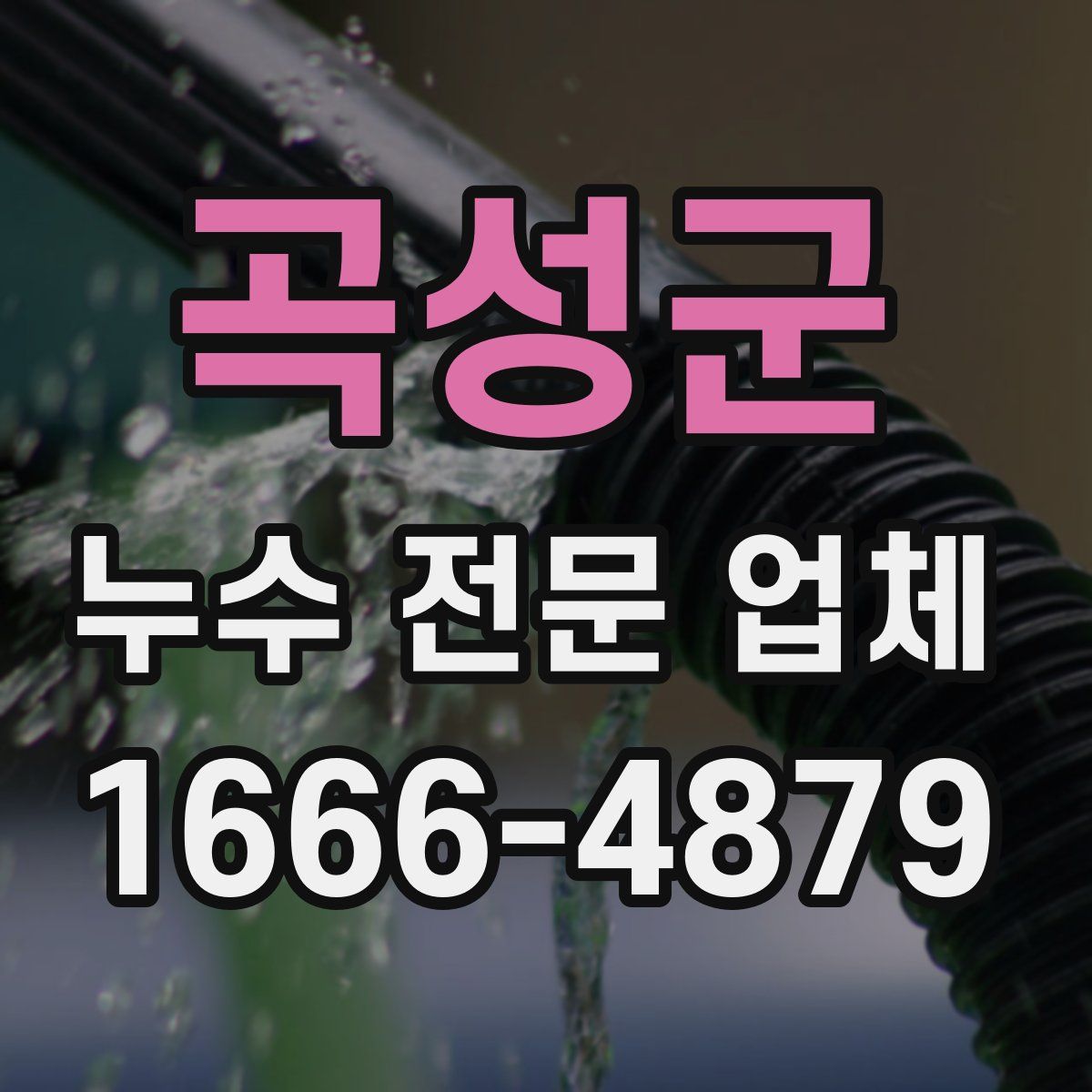 곡성군 누수 전문 업체