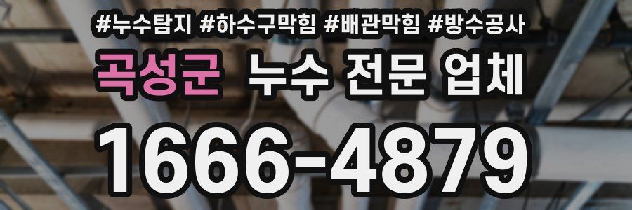 곡성군 누수 전문 업체