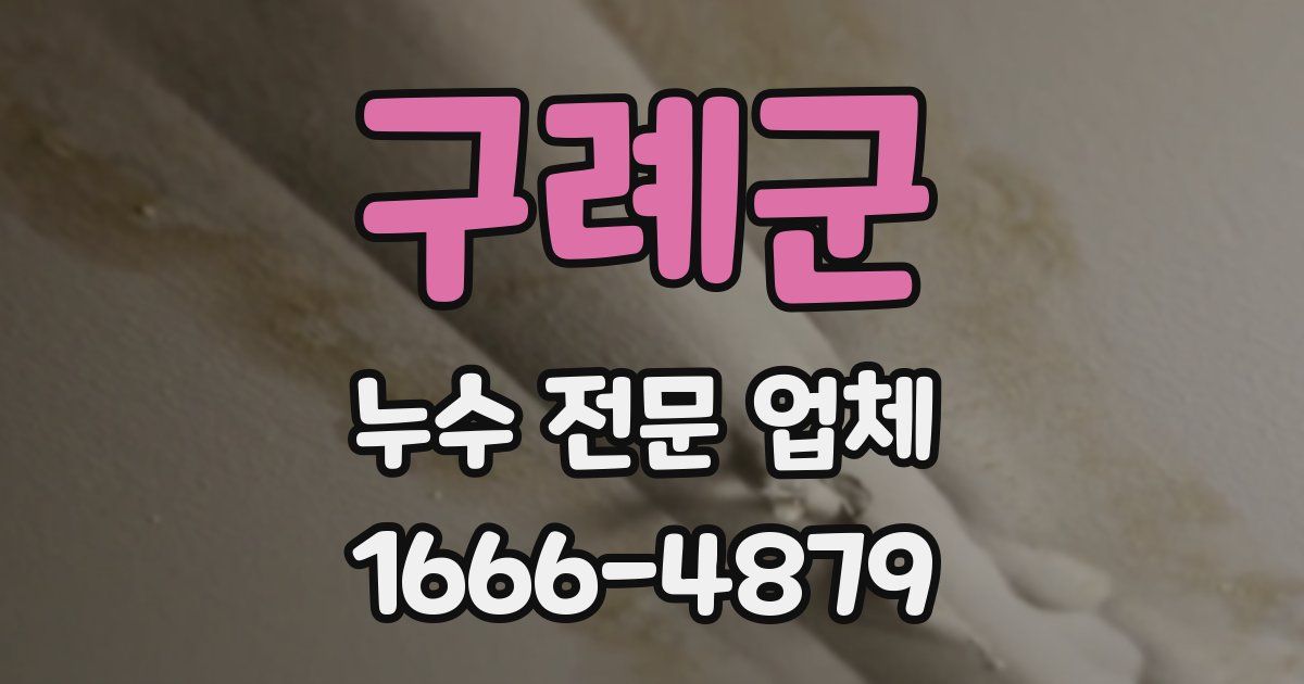 구례군 누수 전문 업체