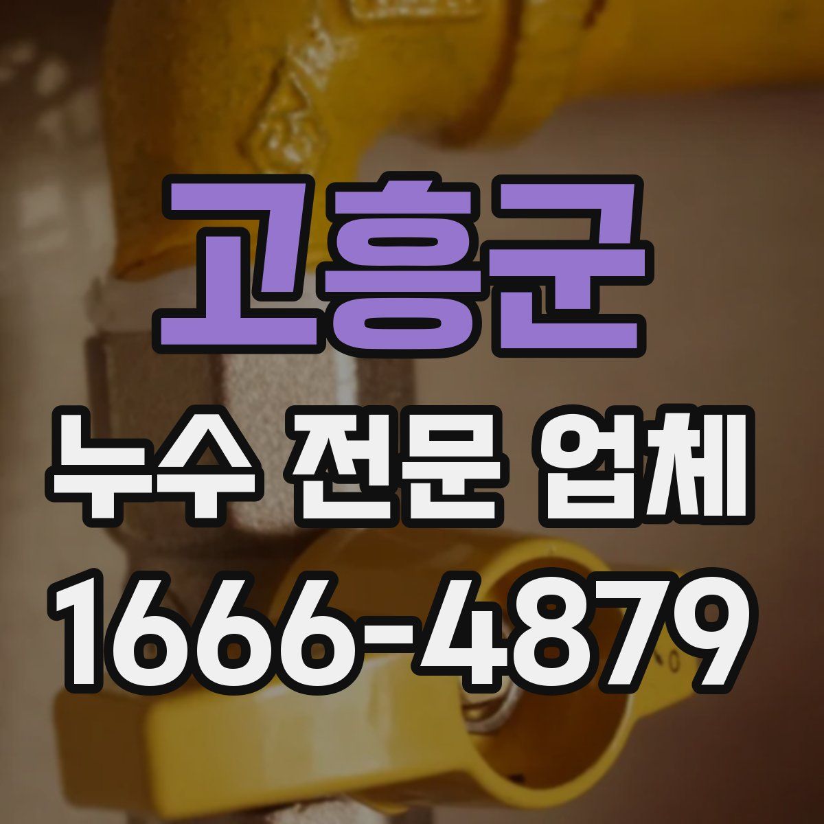 고흥군 누수 전문 업체
