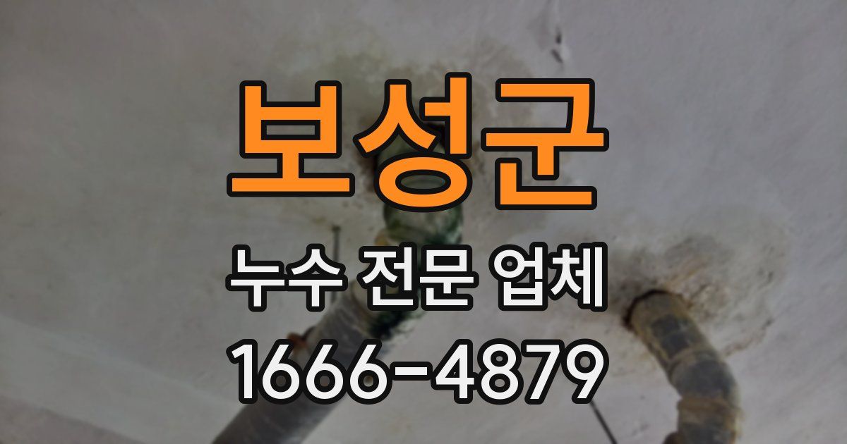 보성군 누수 전문 업체
