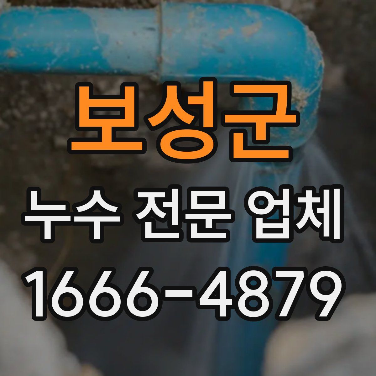 보성군 누수 전문 업체