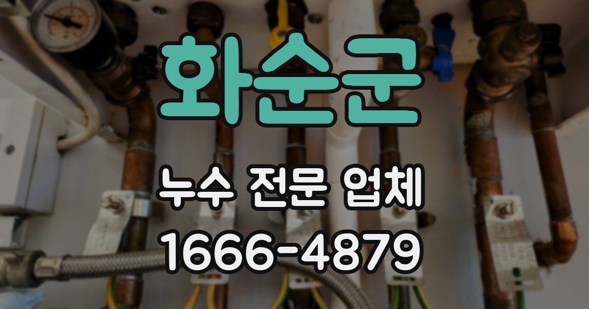 화순군 누수 전문 업체